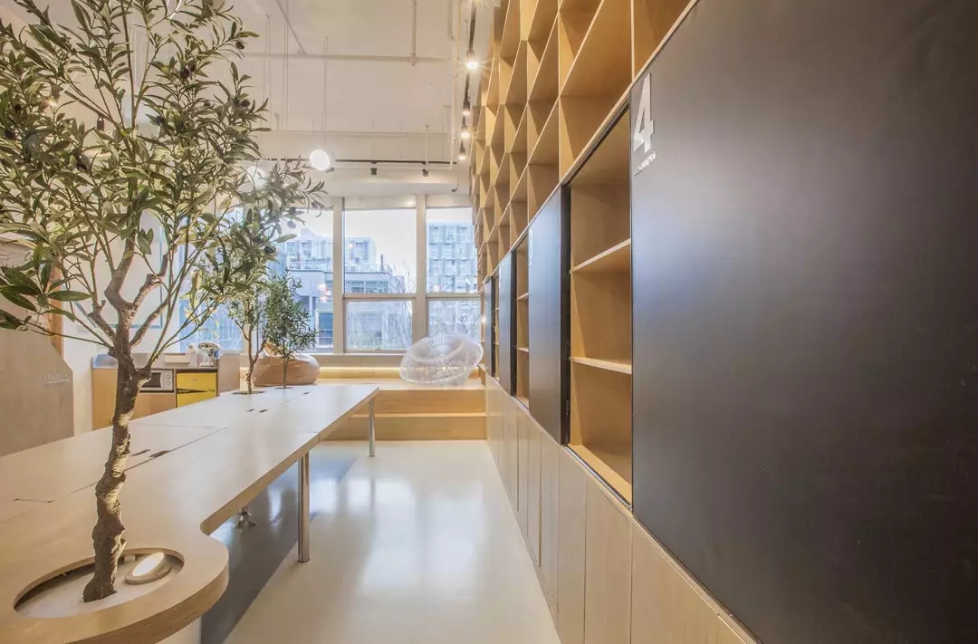 牛在墻上飛，猴子樹梢醉；這是在動(dòng)物園辦公嗎？